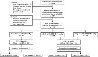 Risk Stratification by Coronary Perfusion Pressure in Left Ventricular Systolic Dysfunction Patients Undergoing Revascularization: A Propensity Score Matching Analysis